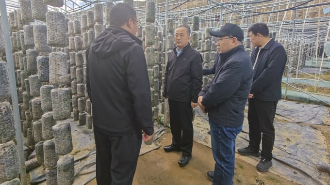 甘肃工程咨询集团赴卓尼县开展乡村振兴帮扶调研暨结对关爱工作